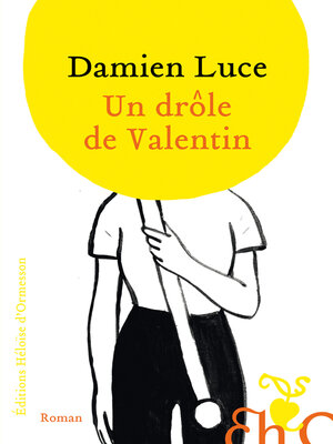 cover image of Un drôle de Valentin